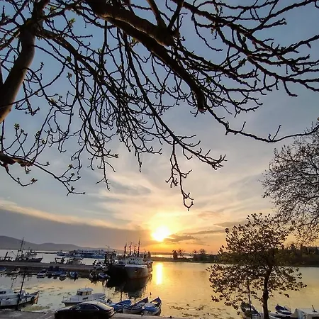 게스트하우스 Fotini 2