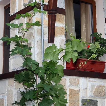 게스트하우스 Fotini 2 소조폴