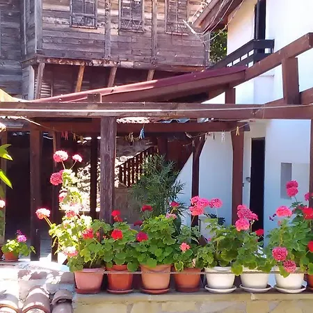 Fotini 2 Szozopol