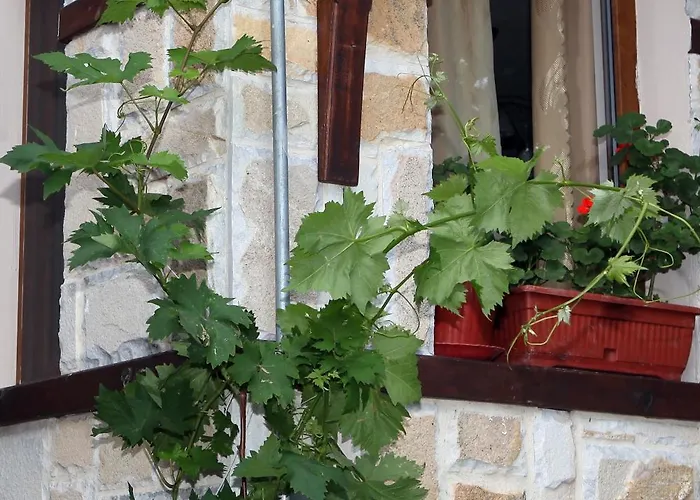 Gasthof Fotini 2 Sosopol